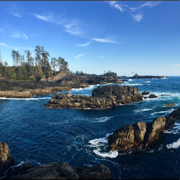 Meet your Posher, Desirae - Picture 1 of 1